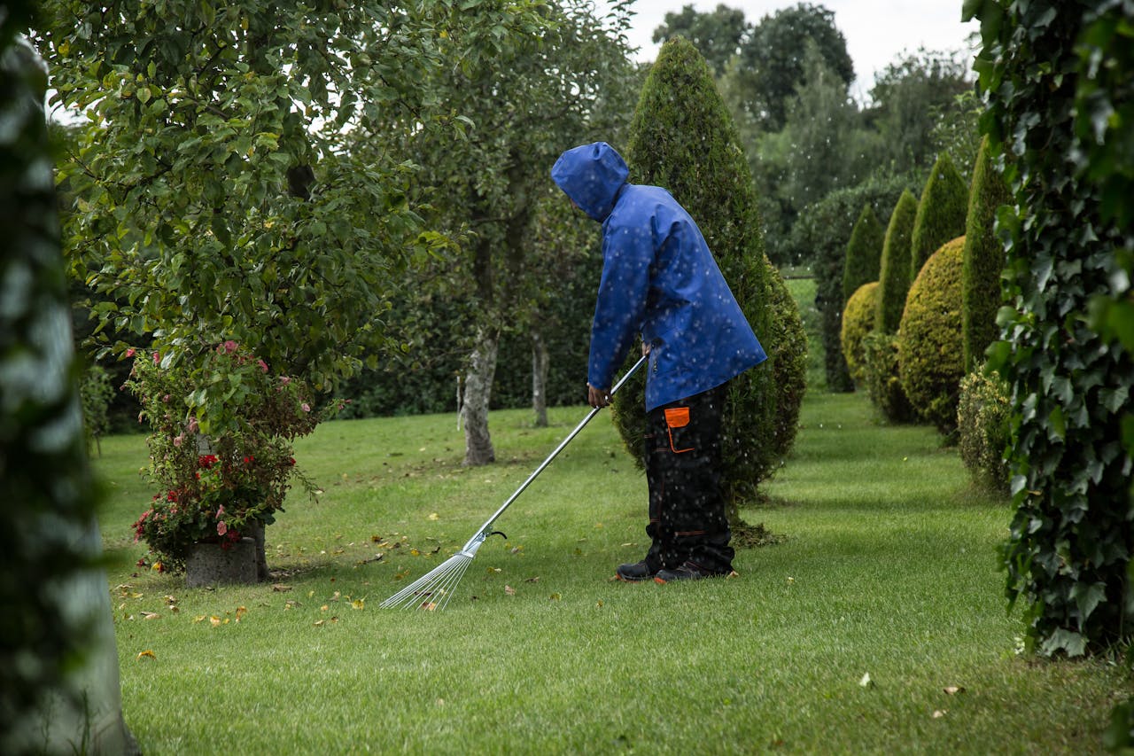 core-values A gardener in a blue rain jacket rakes leaves in a lush green park during a light drizzle.